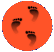 tracks.gif - 5807 Bytes